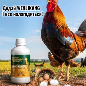 Пробіотик для птиці Wenlikang